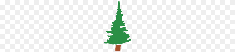 Plant, Tree, Fir, Pine Png Image