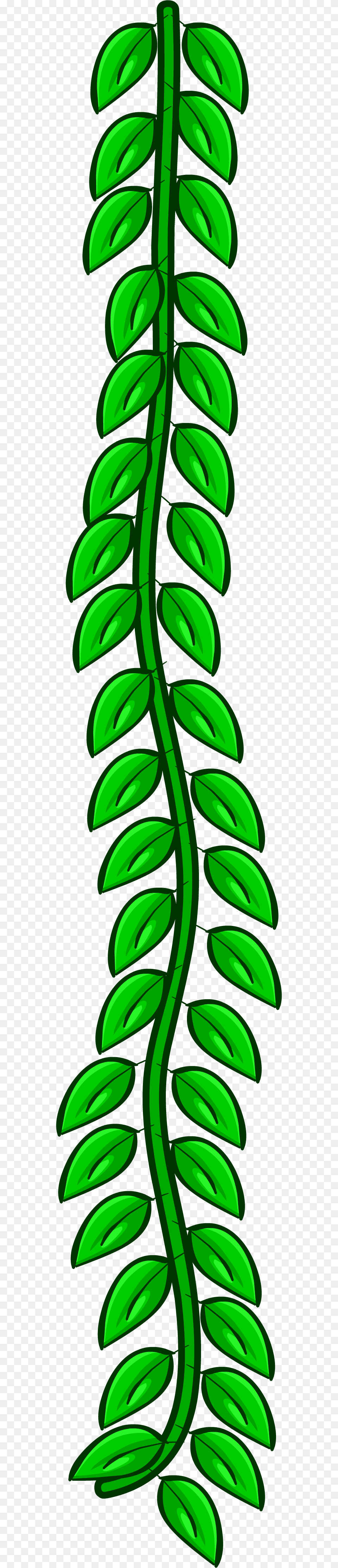 Image, Green, Light, Plant, Tree Png