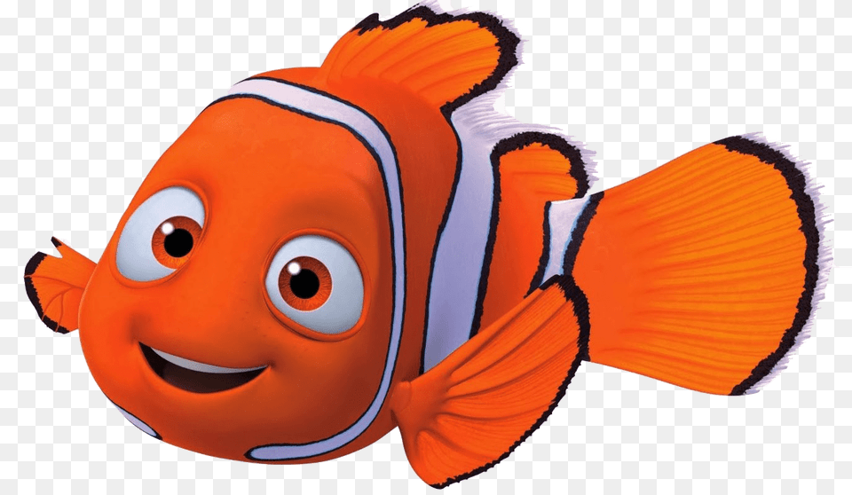 Image, Animal, Fish, Sea Life, Amphiprion Free Png Download