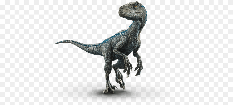 Image, Animal, Dinosaur, Reptile, T-rex Png