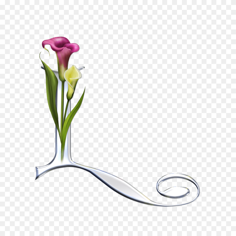 Image, Flower, Flower Arrangement, Plant, Rose Free Transparent Png