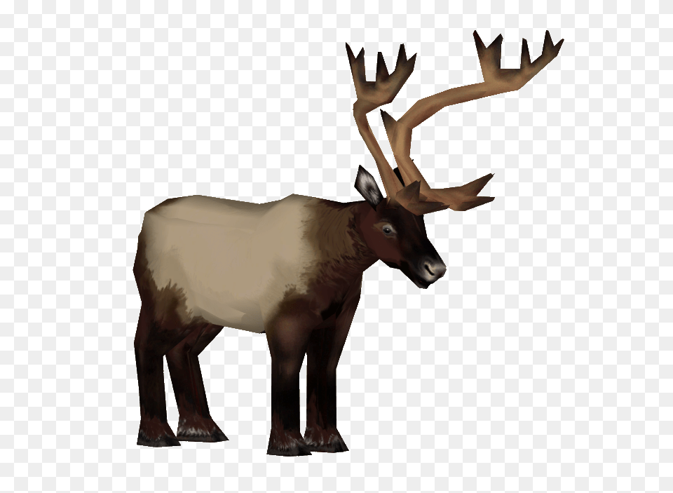 Image, Animal, Deer, Elk, Mammal Free Png