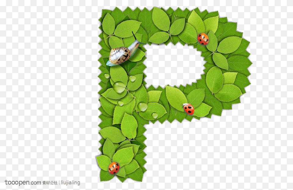 Image, Green, Leaf, Plant, Animal Free Png Download