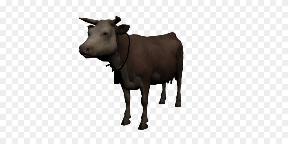 Image, Animal, Bull, Mammal, Cattle Png