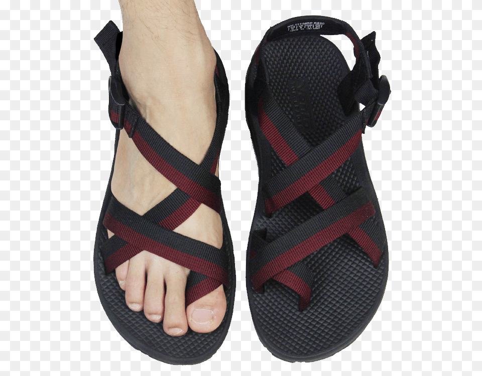 Image, Clothing, Footwear, Sandal, Shoe Free Transparent Png