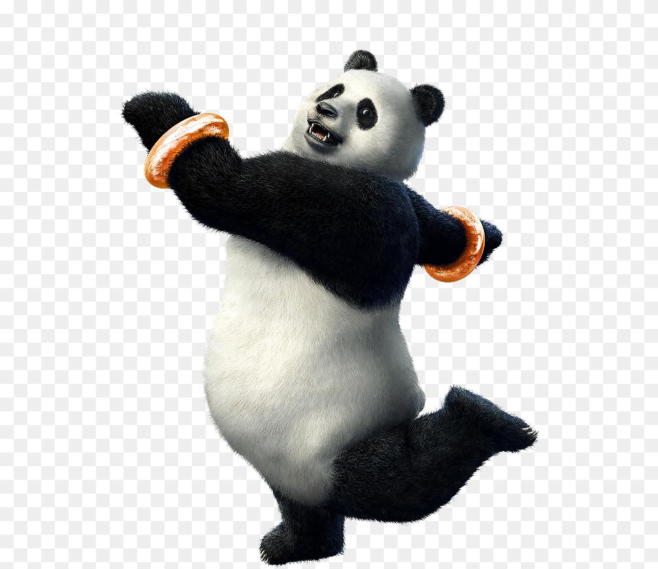 Image, Animal, Bear, Giant Panda, Mammal Free Png Download