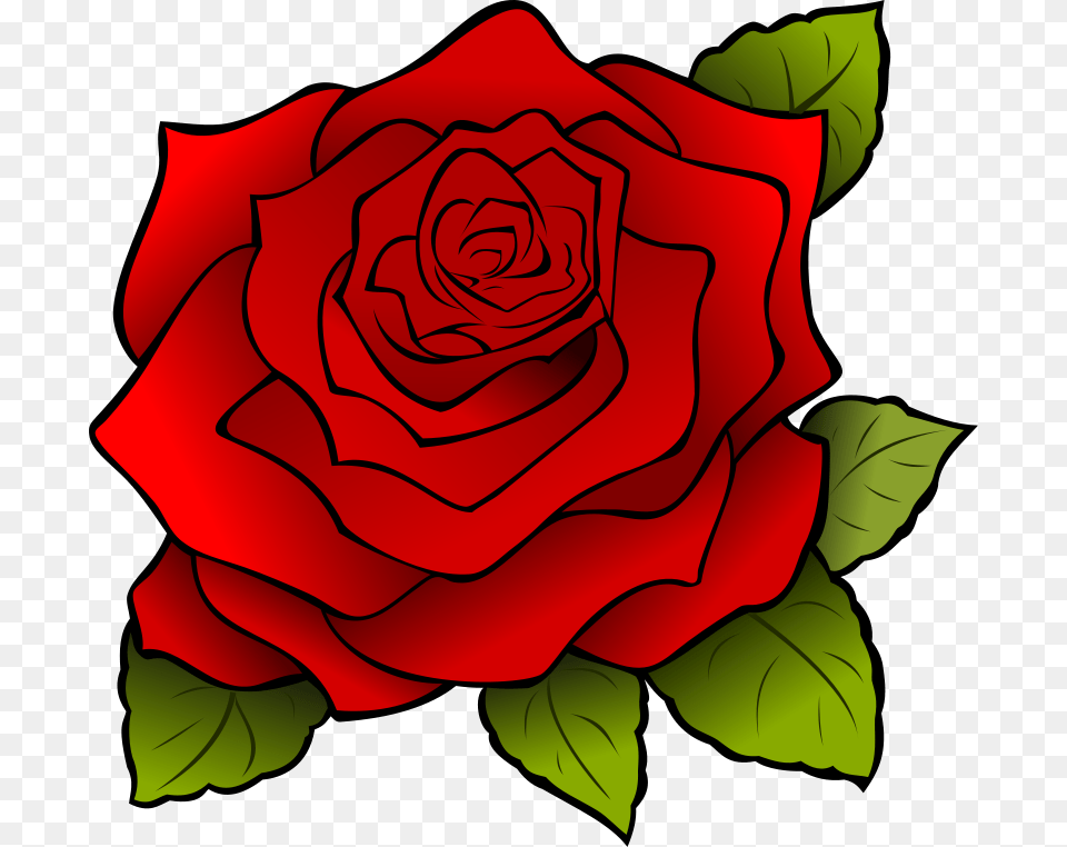 Flower, Plant, Rose Png Image