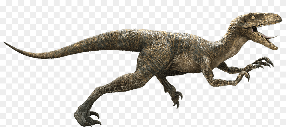 Image, Animal, Dinosaur, Reptile, Electronics Free Transparent Png