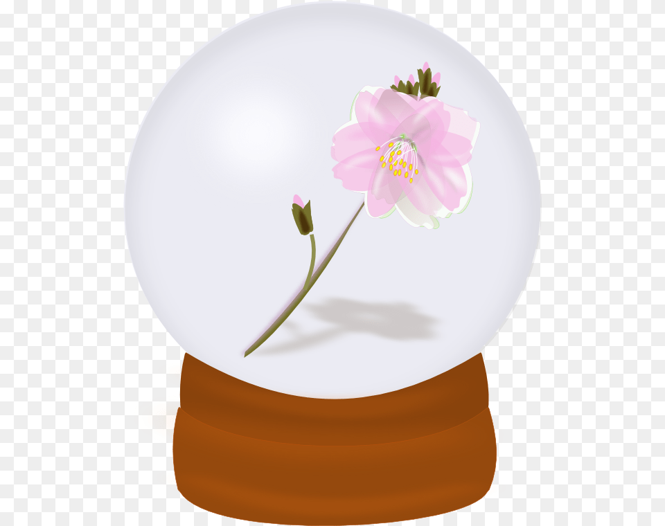 Image, Flower, Flower Arrangement, Light, Plant Free Png Download