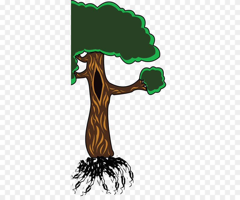 Tree, Plant, Vegetation, Tree Trunk Png Image