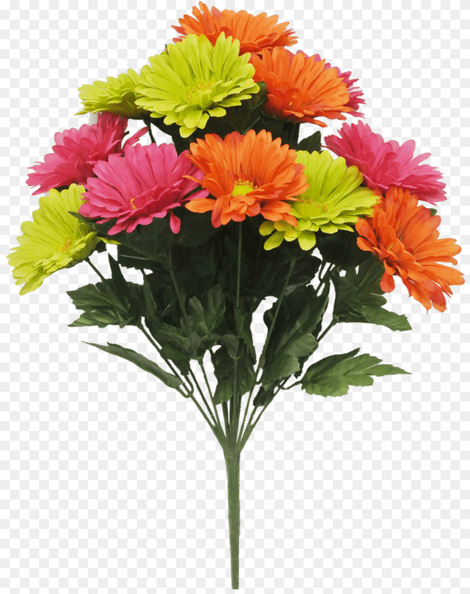 Daisy, Flower, Flower Arrangement, Flower Bouquet Png Image
