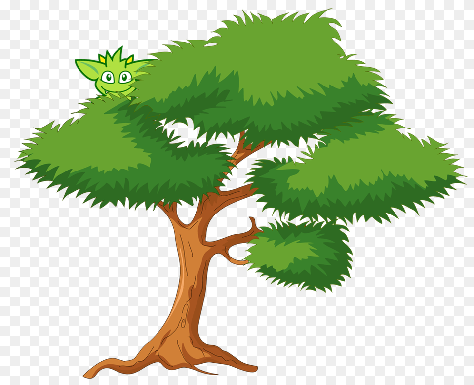 Image, Plant, Tree, Vegetation, Conifer Free Transparent Png