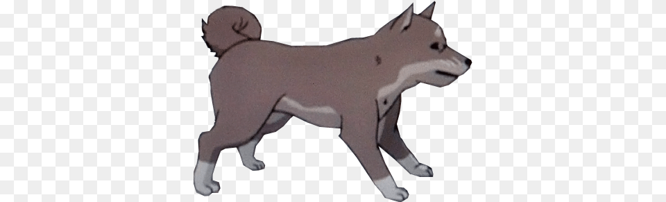 Animal, Mammal, Canine Png Image