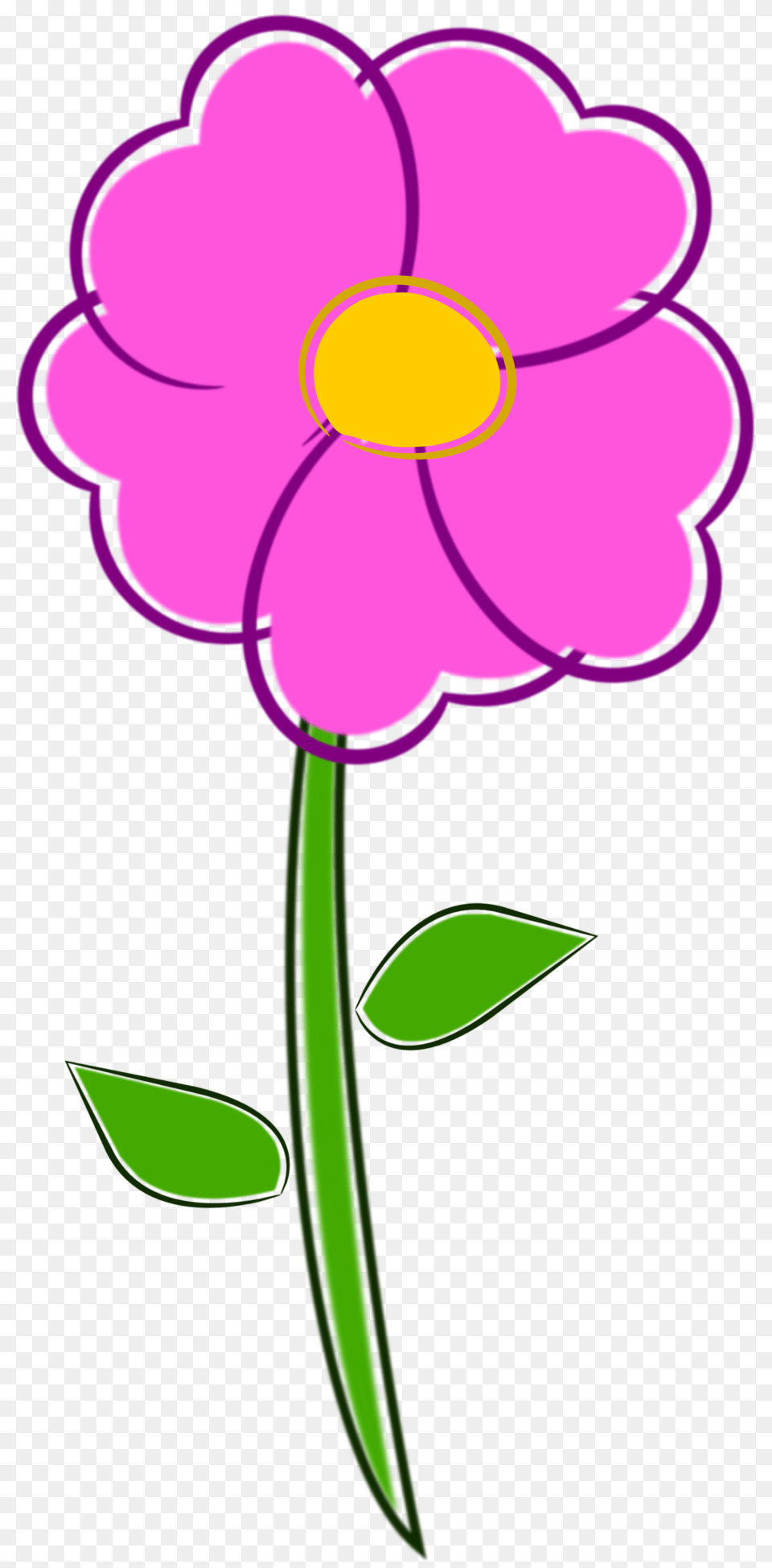 Image, Anemone, Daisy, Flower, Petal Png