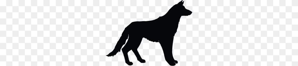 Image, Silhouette, Animal, Coyote, Mammal Free Png