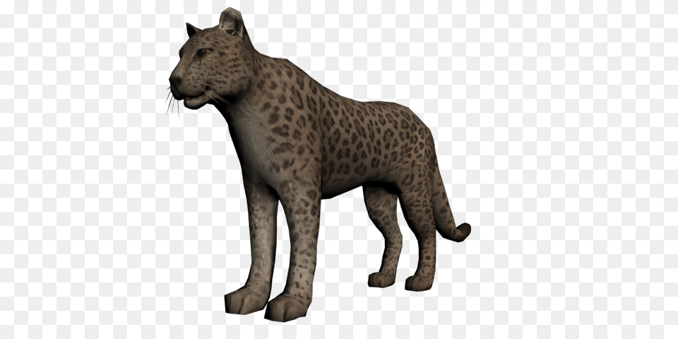 Animal, Mammal, Panther, Wildlife Png Image