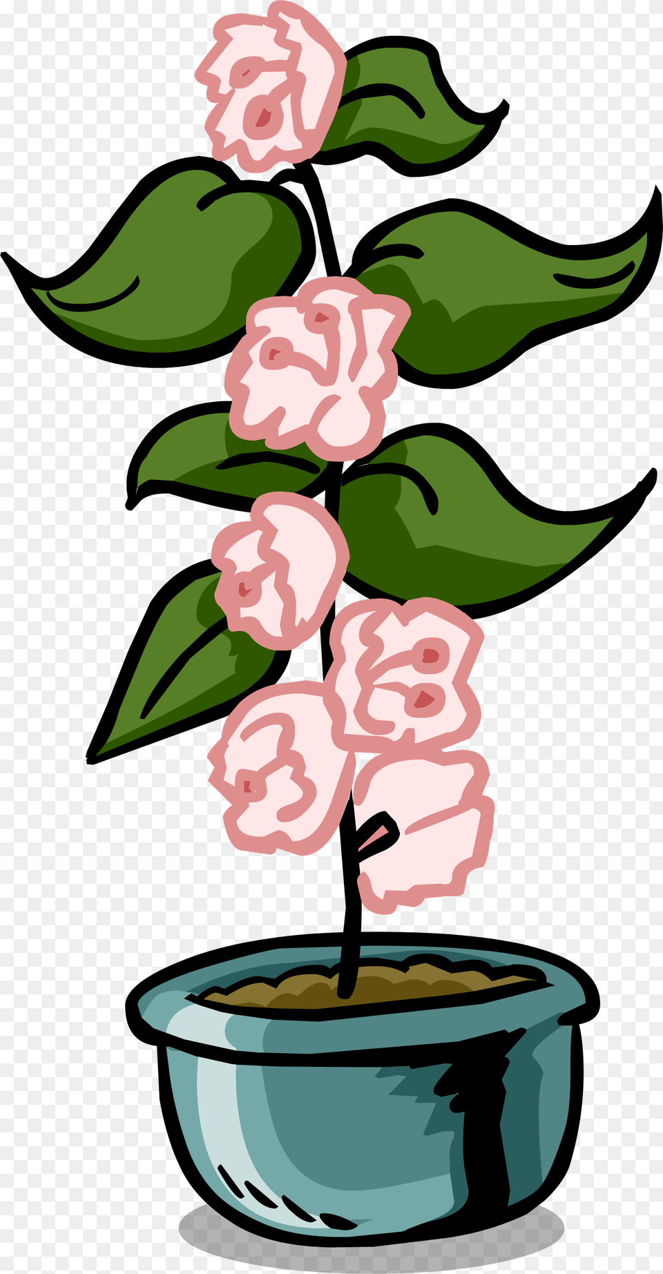 Image, Carnation, Flower, Plant, Potted Plant Free Transparent Png