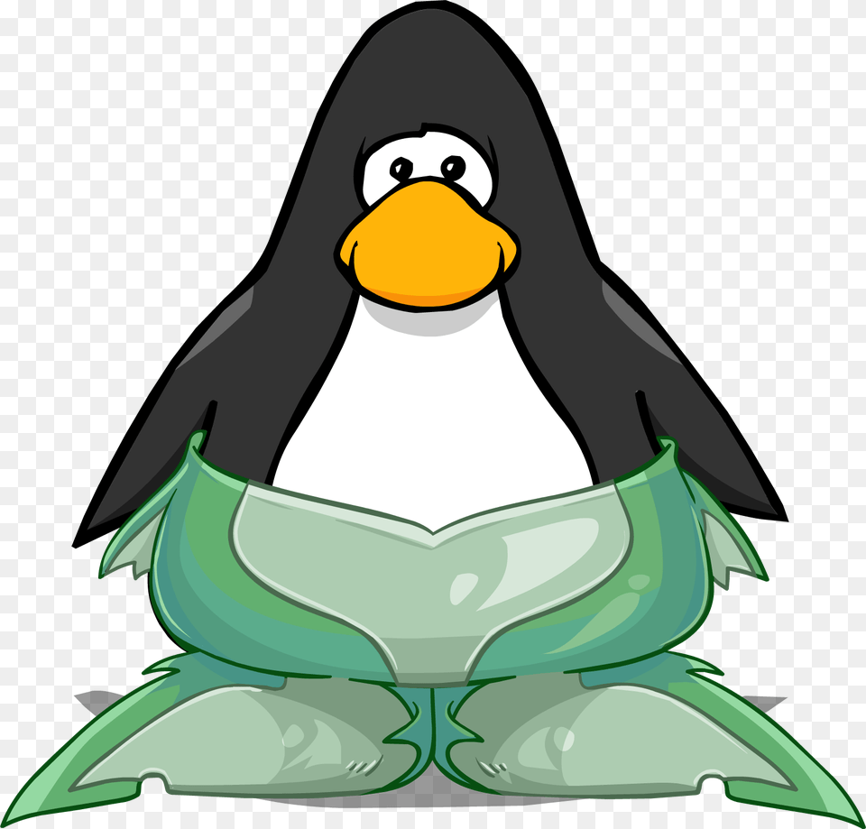 Animal, Bird, Penguin Png Image