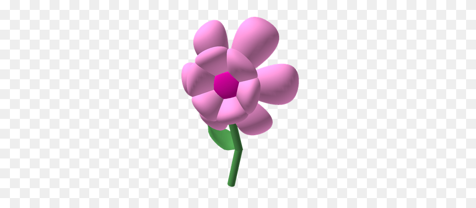 Image, Anemone, Flower, Geranium, Plant Free Transparent Png