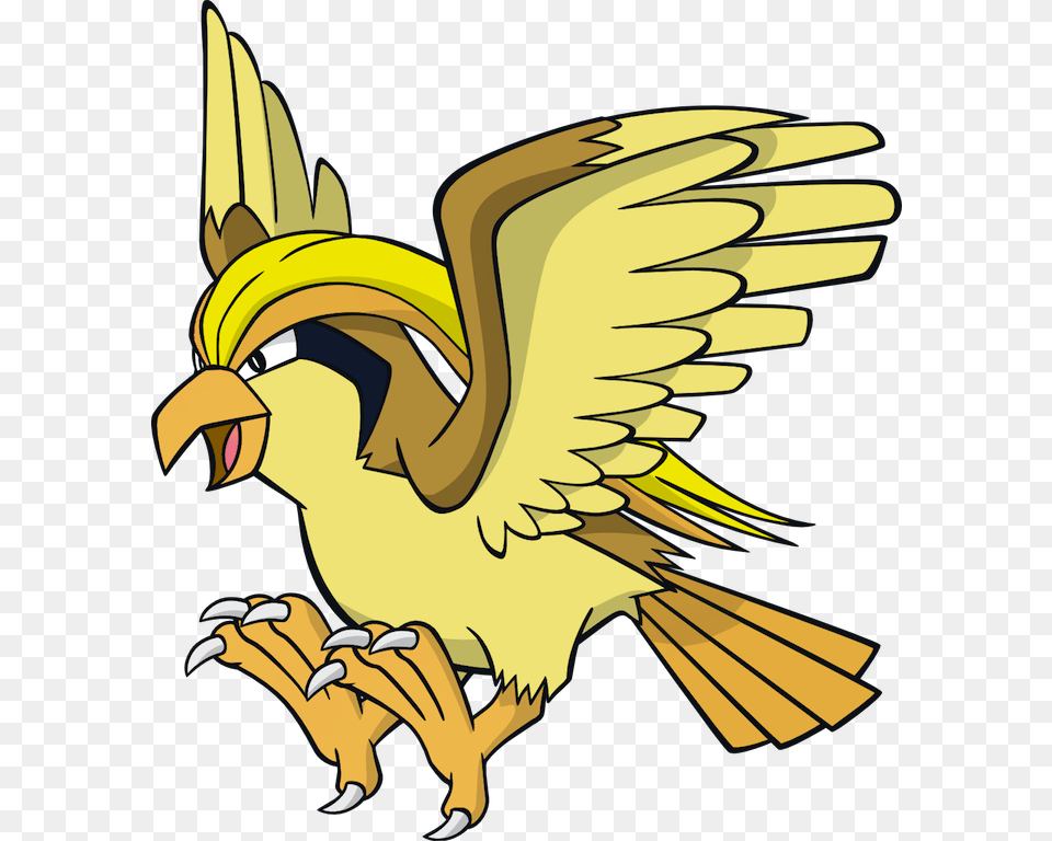 Image, Animal, Beak, Bird, Person Free Transparent Png