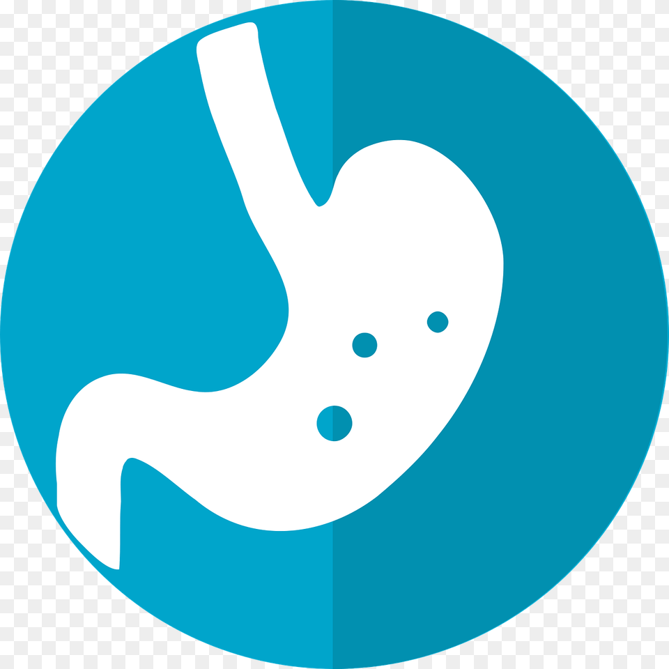 Image, Disk, Body Part, Stomach Free Png