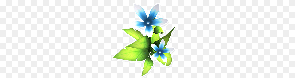 Image, Plant, Art, Pattern, Floral Design Png