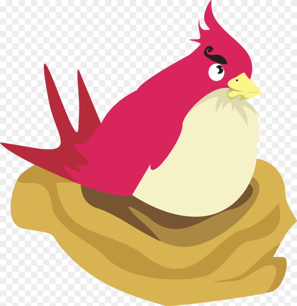 Animal, Beak, Bird, Baby Png Image