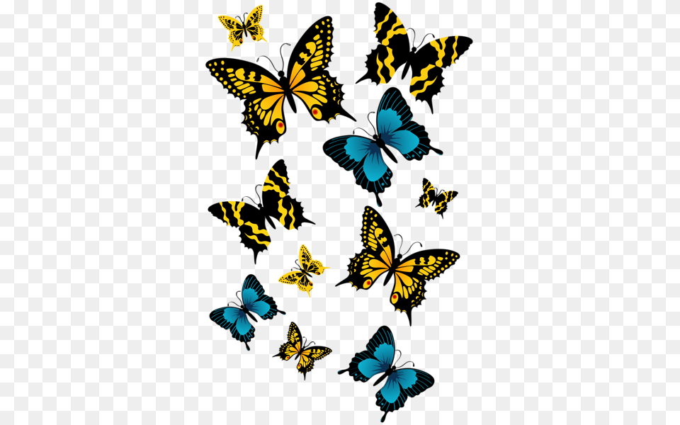 Animal, Butterfly, Insect, Invertebrate Png Image