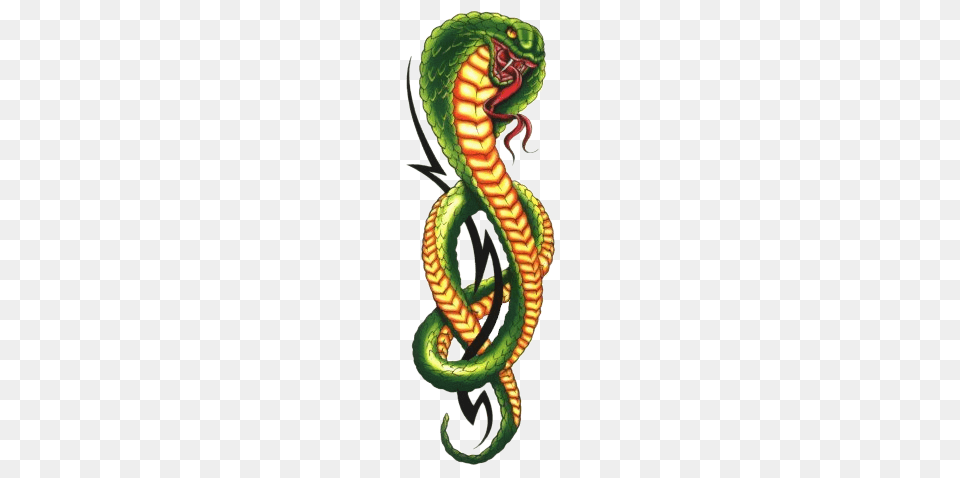 Image, Animal, Reptile, Snake Png