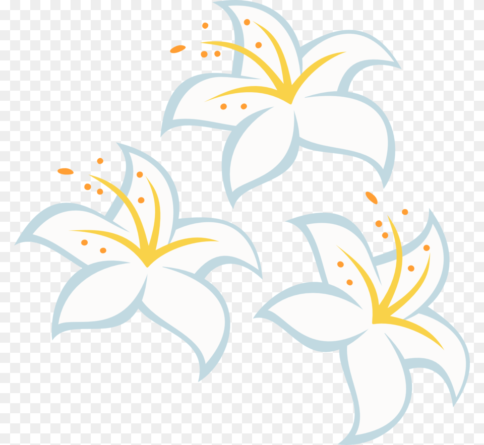 Image, Flower, Plant, Lily, Anther Free Transparent Png