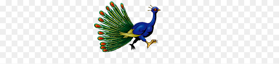 Image, Animal, Bird, Peacock Free Png