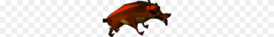 Image, Animal, Fish, Sea Life, Shark Free Png Download