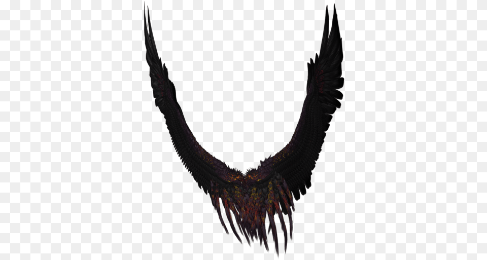 Image, Accessories, Necklace, Jewelry, Vulture Free Transparent Png