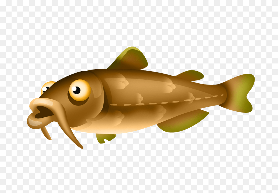Image, Animal, Cod, Fish, Sea Life Free Png