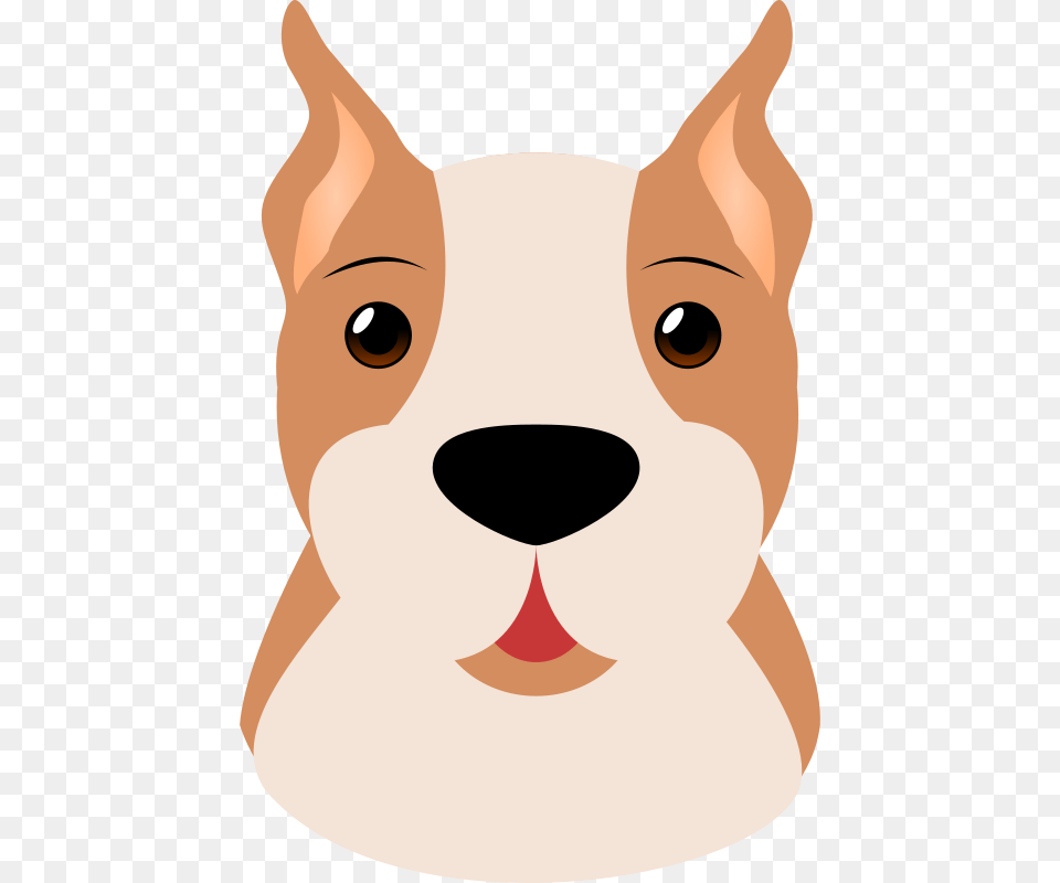 Image, Snout, Baby, Person, Animal Free Transparent Png