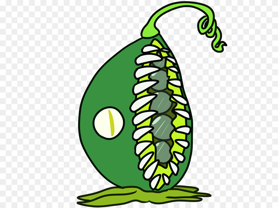 Image, Food, Gourd, Plant, Produce Free Transparent Png