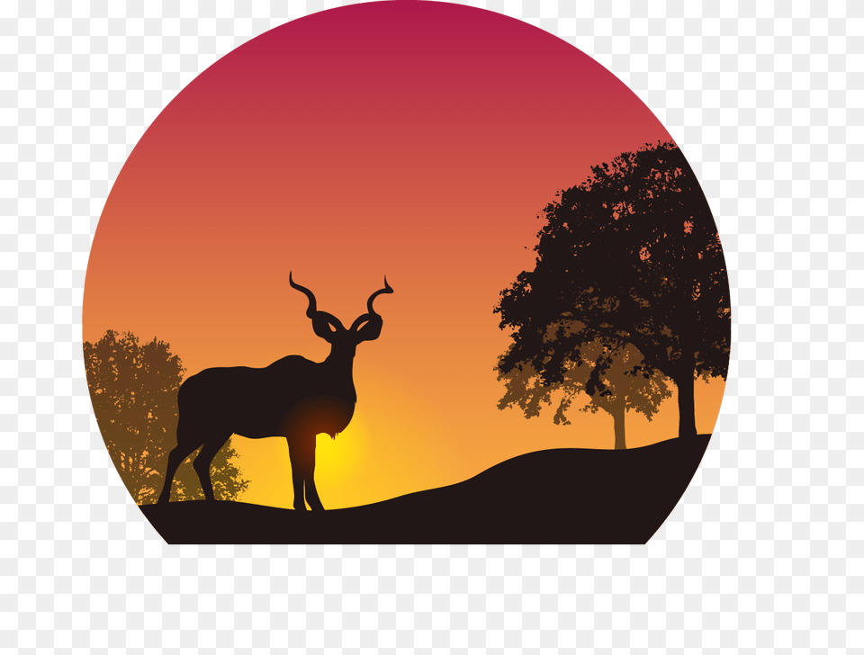 Image, Animal, Mammal, Impala, Antelope Free Png