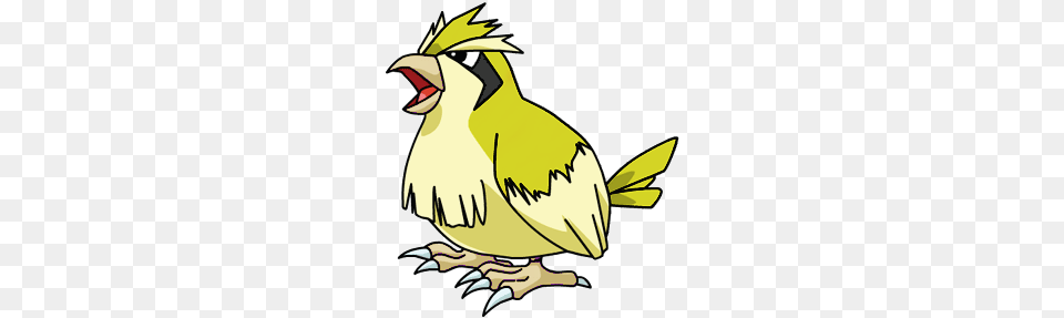 Image, Animal, Beak, Bird, Person Png