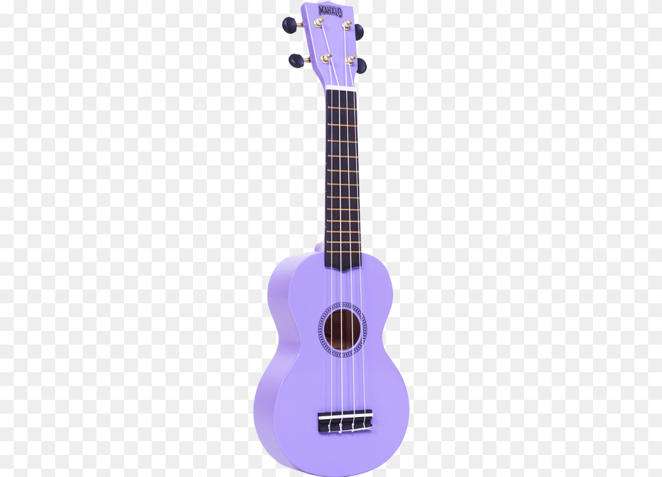 Bass Guitar, Guitar, Musical Instrument Png Image