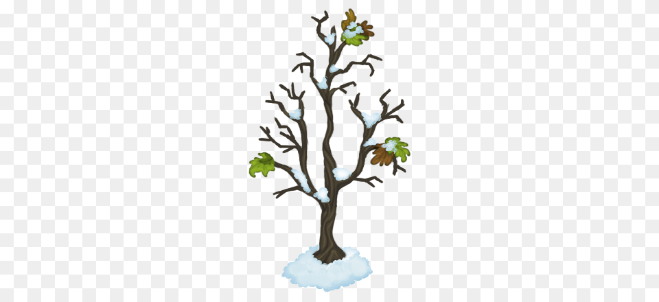 Image, Oak, Plant, Tree, Tree Trunk Free Transparent Png