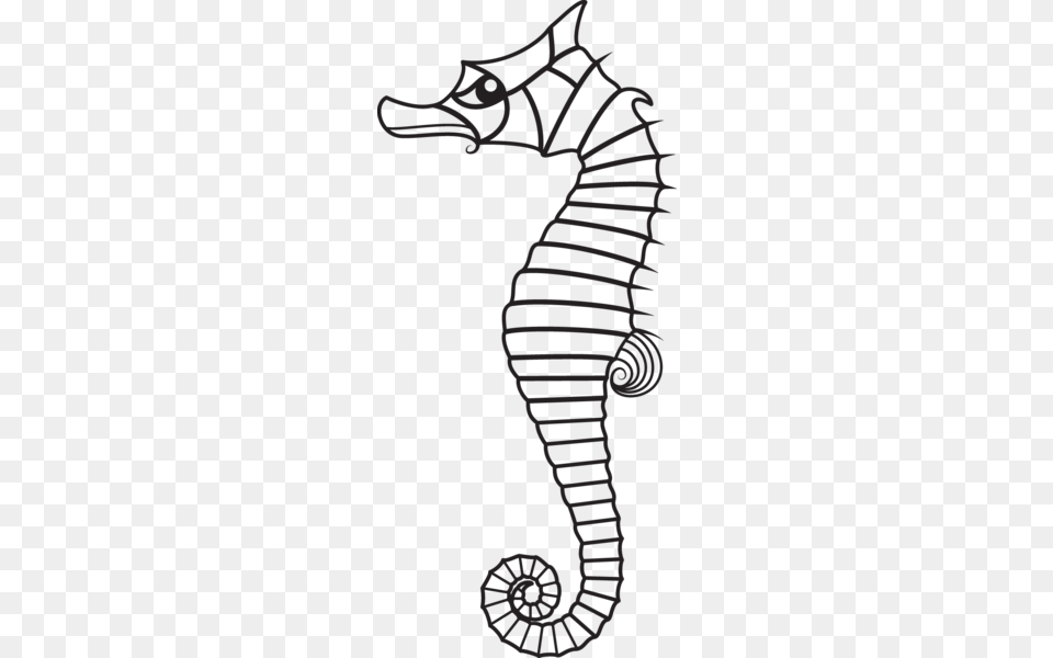 Image, Animal, Mammal, Sea Life, Seahorse Free Png Download