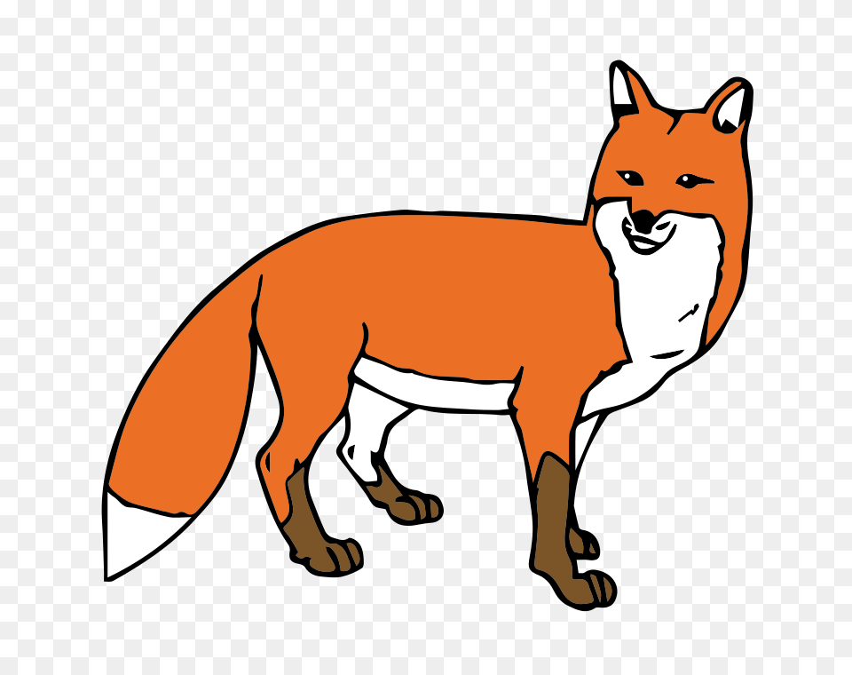 Image, Animal, Canine, Fox, Mammal Free Transparent Png