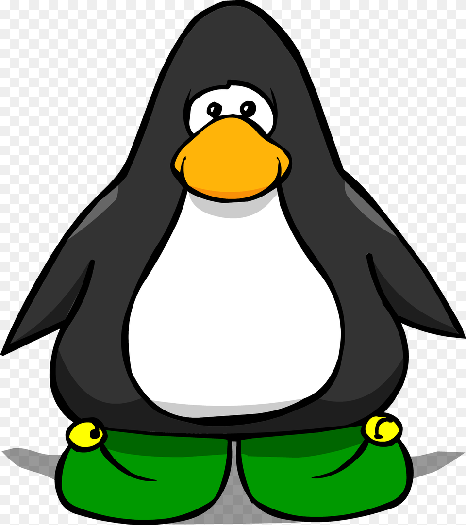 Image, Animal, Bird, Penguin Free Png