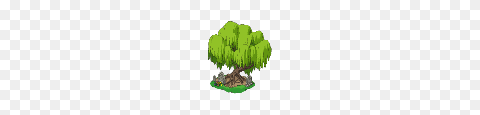 Plant, Tree, Vegetation, Willow Png Image