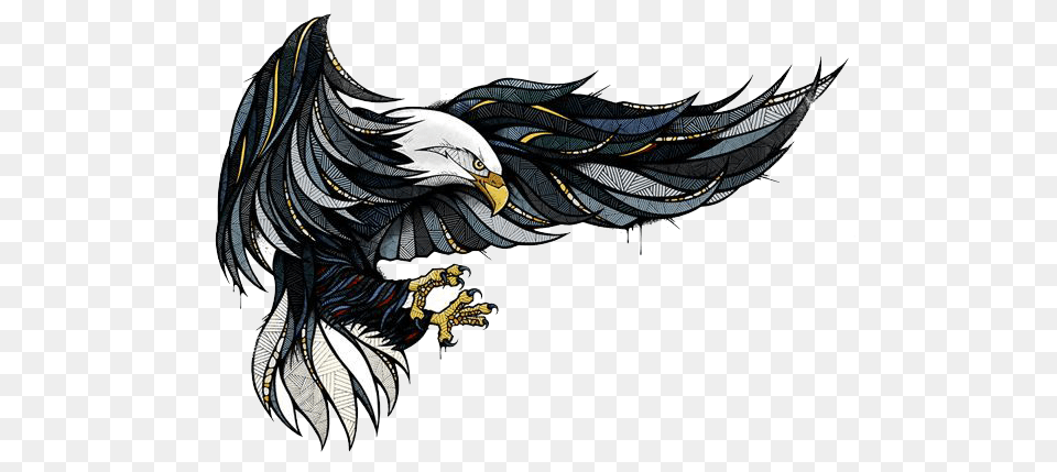 Image, Animal, Bird, Eagle, Bald Eagle Free Transparent Png
