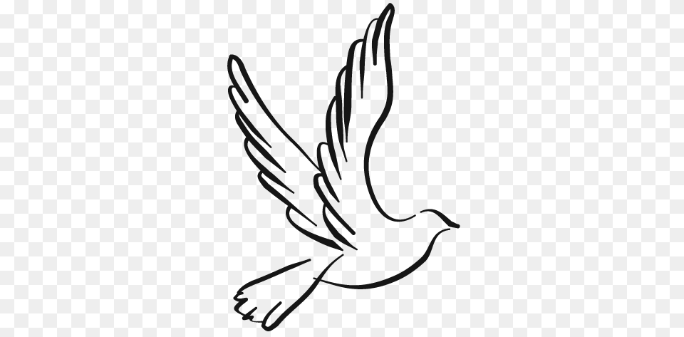 Image, Stencil, Animal, Bird, Pigeon Free Png
