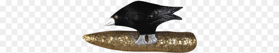 Image, Animal, Beak, Bird, Bronze Free Png Download