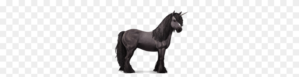 Image, Andalusian Horse, Animal, Horse, Mammal Free Transparent Png