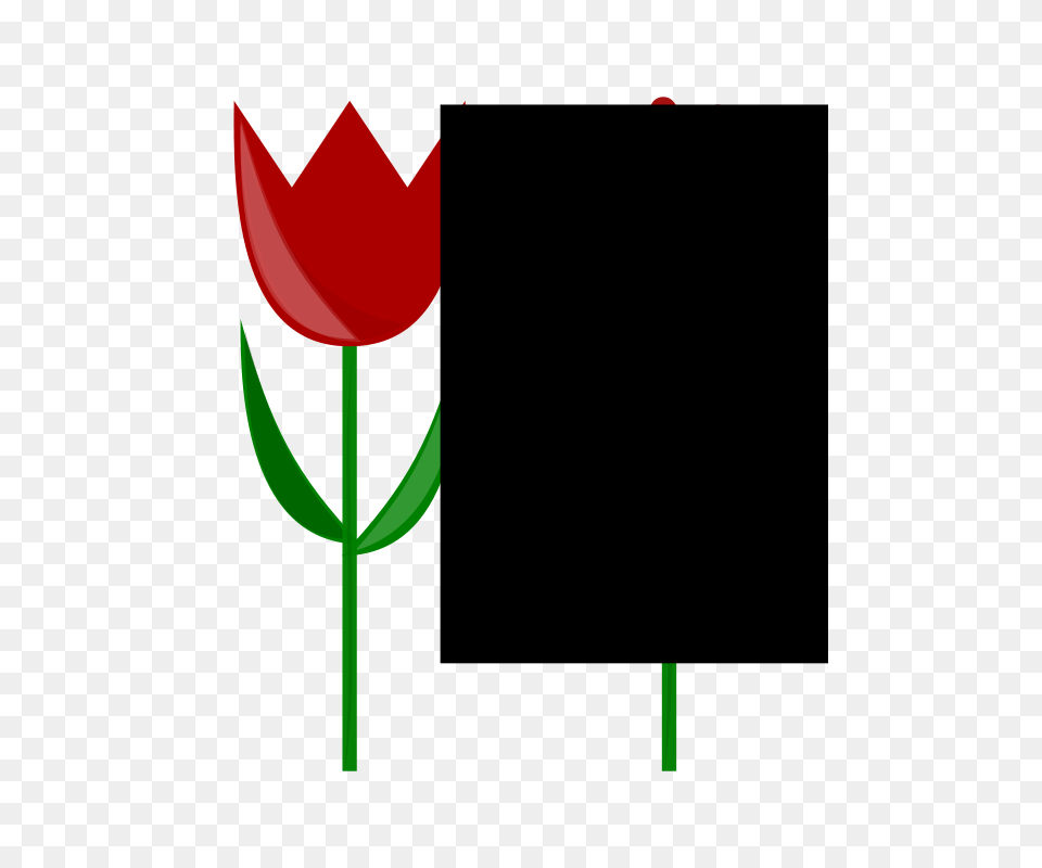 Image, Flower, Plant, Rose, Tulip Free Png