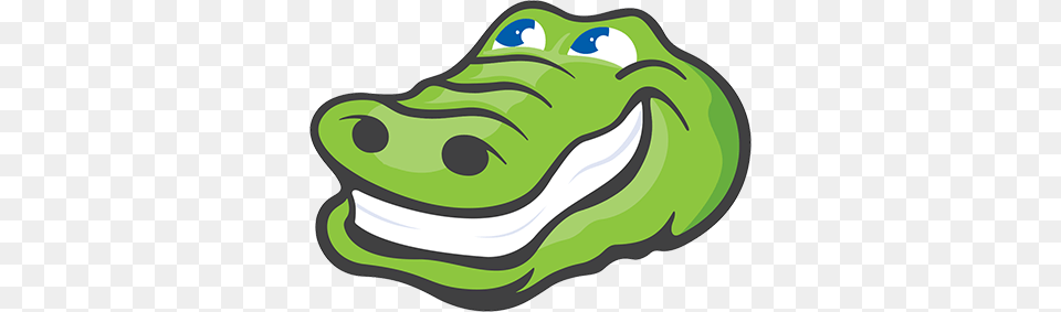 Green, Amphibian, Animal, Frog Png Image